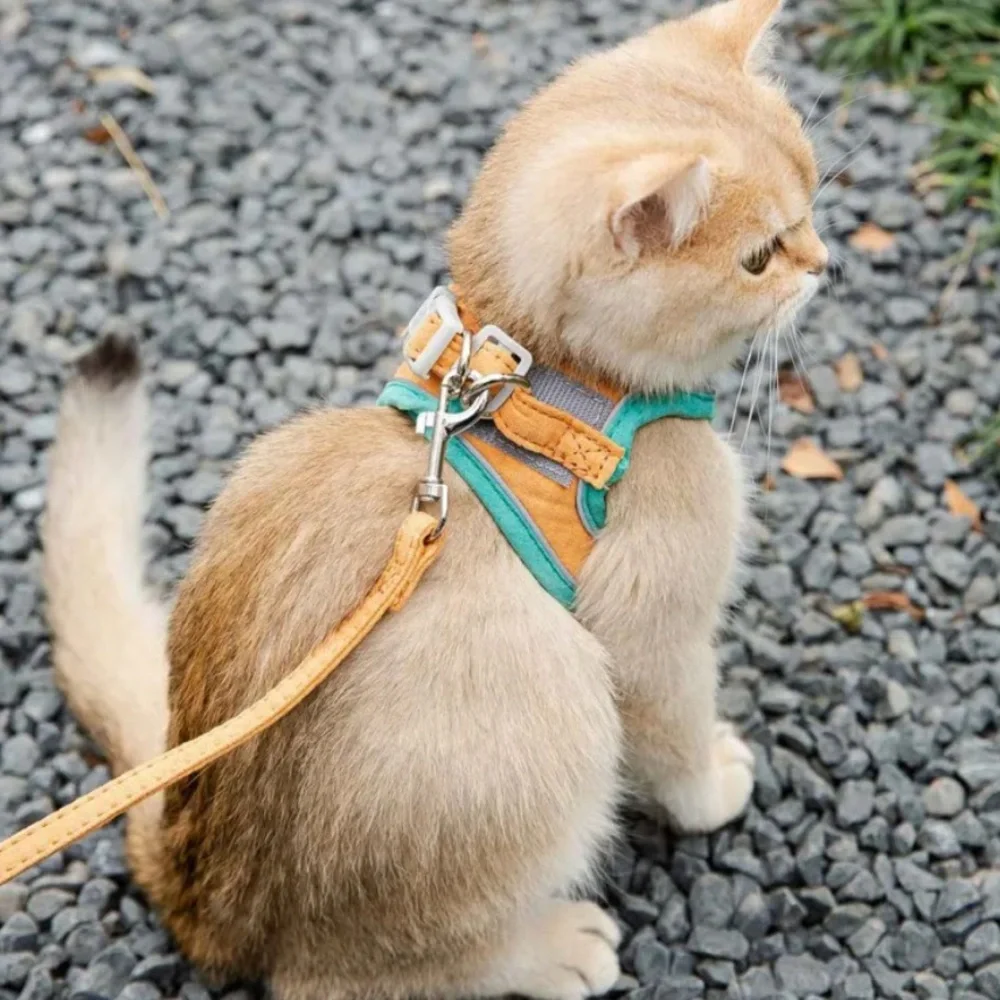 Dog Cat Harness & Leash Set